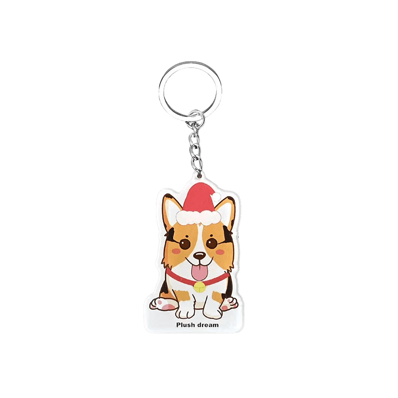 Custom Acrylic Keychains